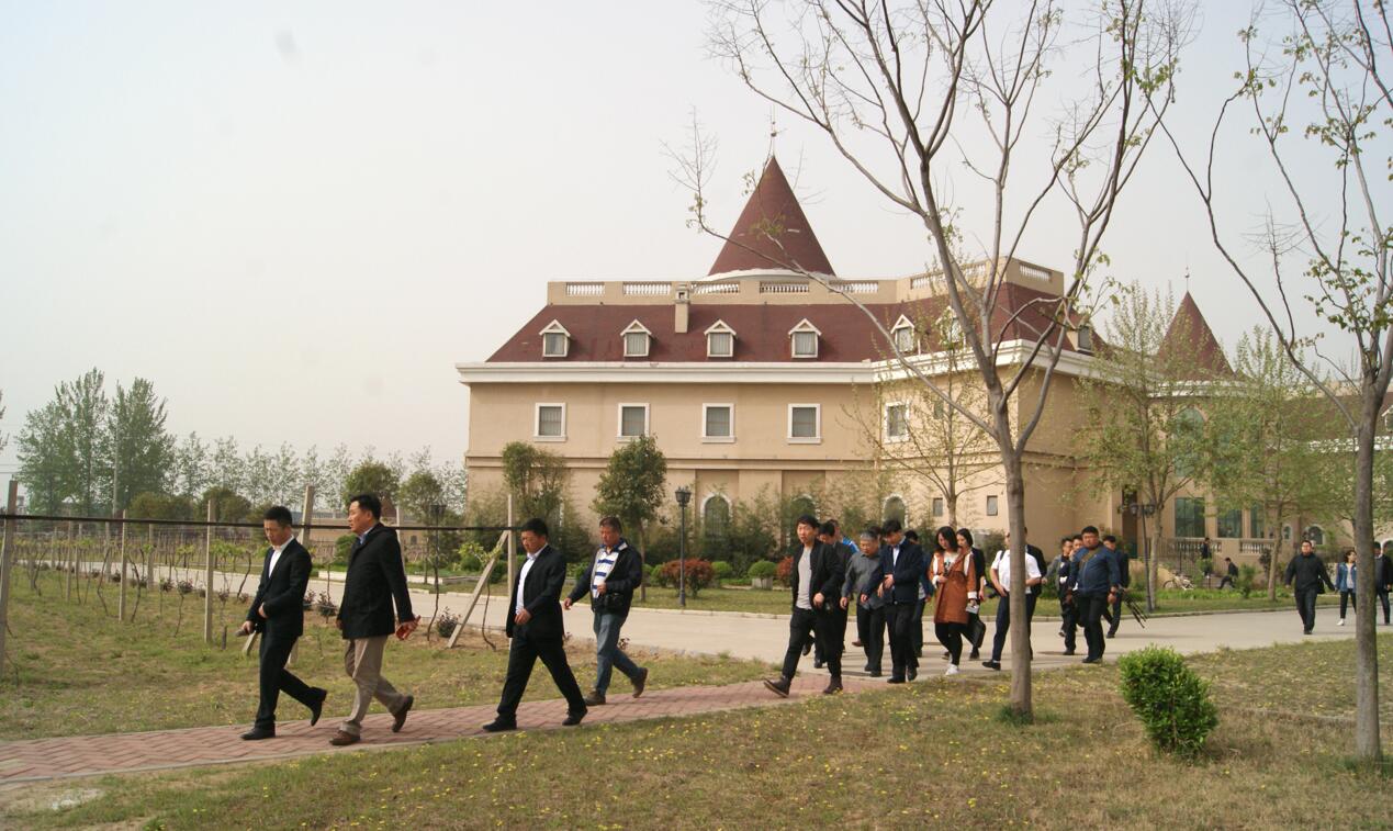 QQ截图20180411152940.jpg