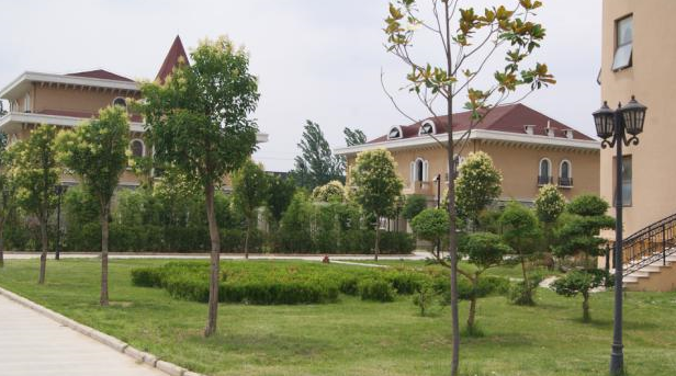 微信图片_20200603160021.png
